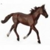 Armasar Standardbred Pacer Castaniu Collecta