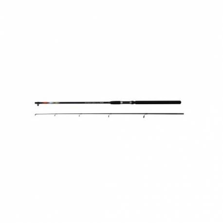 Lanseta spinning CARP ZOOM PREDATOR-Z ENTRANT SPIN ES, 2.40m, 2 seg., 40-80gr.