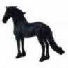 Armasar Friesian Collecta