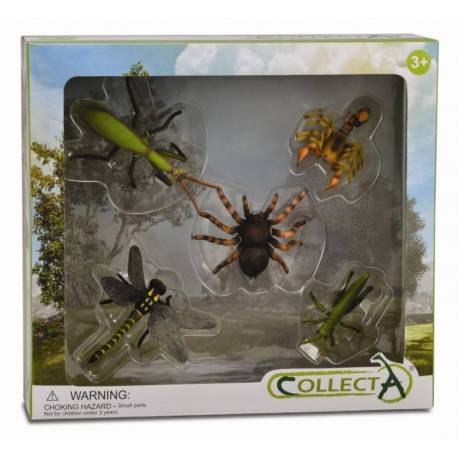 Set 5 figurine Insecte Collecta