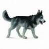 Figurina Caine Husky Siberian L Collecta