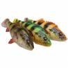 SHAD SAVAGE 4D PERCH SHAD 12,5CM/23G SS 02