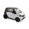 Macheta auto SMART Fortwo (2015)