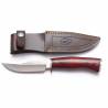 Cutit vanatoare MUELA BRACO-11R, inox, lama 11cm