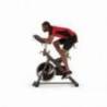 Bicicleta indoor cycling MATRIX ES80, max. 136kg