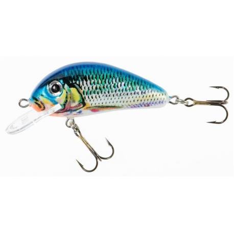 Vobler JAXON GOLBAT, Floating, 5cm, 5g, NA