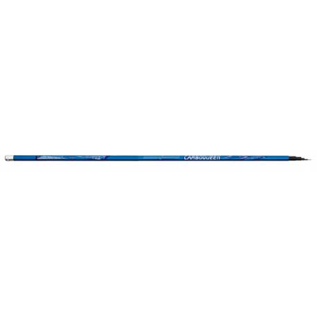 Varga telescopica LINEAEFFE CARBO QUEEN POLE 6,00M