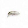 Vobler STRIKE PRO BEETLE BUSTER 4CM/5,7G (F) 124SG