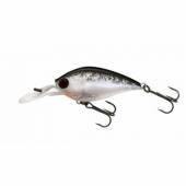 Vobler Yo-Zuri 3DB Crank 1.5 MR 60F, Floating, PBLS, 6cm, 13.5g