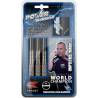 Sageti steel darts Target Phil Taylor Power Silverlight Tungsten Look 2, Brass, 22G