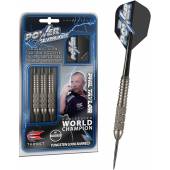 Sageti steel darts Target Phil Taylor Power Silverlight Tungsten Look 2, Brass, 22G
