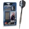 Sageti steel darts Target Phil Taylor Power Silverlight Tungsten Look 2, Brass, 22G