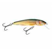 Vobler Salmo Minnow M6F RR, Floating, 6cm, 4g