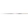 Lanseta telescopica CARP EXPERT TELEMATCH, 4.20m, 5-25g