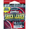 Fir inaintas fluorocarbon Raiglon Acrobat Shock Leader, 30m, 0.29mm, 5.4kg