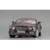 Macheta auto BENTLEY Continental GT (2016) 1:18 visiniu Paragon Models