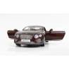 Macheta auto BENTLEY Continental GT (2016) 1:18 visiniu Paragon Models