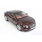 Macheta auto BENTLEY Continental GT (2016) 1:18 visiniu Paragon Models