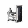 Aparat exercitii biceps Impulse Fitness FE9703 Exoform Series, greutati incluse 72kg