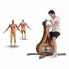 Aparat fitness NOHrD Water Grinder, lemn natural, max. 150kg