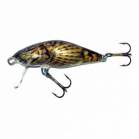 Vobler SALMO Bullhead Bd6f BD, Floating, 6cm, 6g