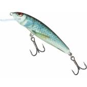 Vobler SALMO Minnow M6F RD - Real Dace, Floating, 6cm, 4g