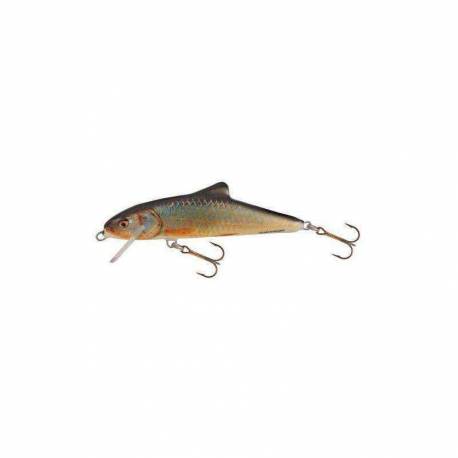 Vobler SALMO Skinner SK10F RR, Floating, 10cm, 15g