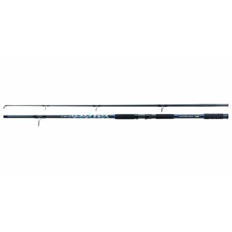 Lanseta JAXON Tenesa Catfish Max, 3.00m, 450g, 2 tronsoane