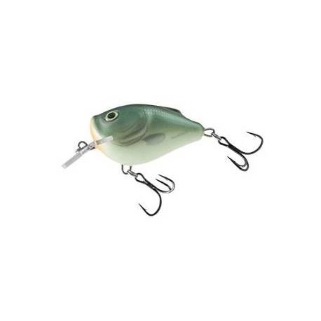 Vobler SALMO Square Bill SQ5F, 5cm, 14g, culoare Green Back Herring