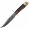 Cutit Muela Lion 16BF, lama 16cm - Cutit Colectie Big Five Africa