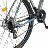 Bicicleta MTB-HT CARPAT CSC27/57C, 21 viteze, roti 27.5 Inch, gri cu design albastru/negru