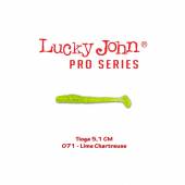 Shad LUCKY JOHN Tioga 2", 5.1cm, culoare 071, 10buc/plic