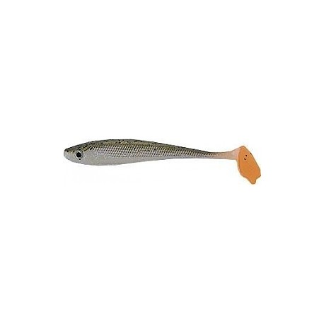 SHAD INTENSA INA 11CM R