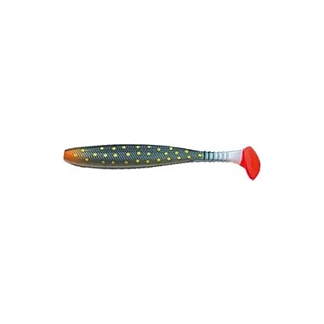 SHAD INTENSA INB 10CM F