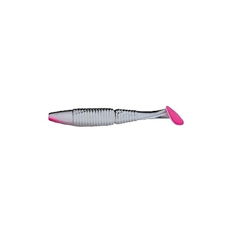 SHAD INTENSA INC 11CM E