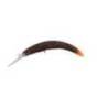 Vobler JACKALL Pepino MR 5.6cm, 2.4g, floating, culoare Tackey Brown / Orange