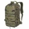 Rucsac HELICON-TEX Raccoon MK2 Molle Woodland PL 20L