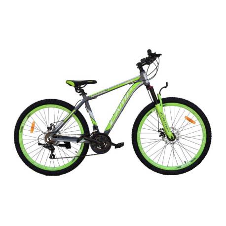 Bicicleta MTB-HT FIVESTARS Camp XC 4.2 MD 29 2022, verde/gri, 460 mm