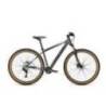 Bicicleta MTB-HT FOCUS Whistler 3.7 29 - Toronto Grey, XL-52