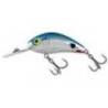 Vobler SALMO Rattlin' Hornet H5.5, 5.5cm, 10g, culoare RTS