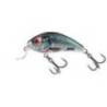 Vobler SALMO Rattlin' Hornet H4.5, 4.5cm, 6g, culoare HRD