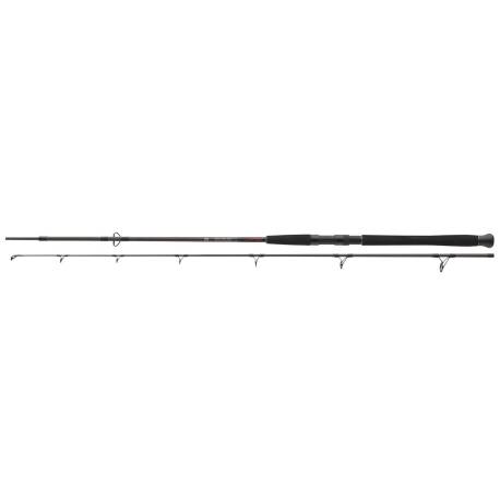 Lanseta DAIWA EXCELER CATFISH SPIN 2.40m, 135g, 2 tronsoane