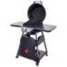 Gratar pe gaz si carbuni hibrid Char-Broil All-Star 120B