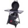 Gratar electric Char-Broil All-Star 120B