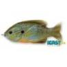 Swimbait LIVETARGET Hollow Body Sunfish, 7.5cm, 12g, Natural/Blue Pump