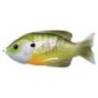 Swimbait LIVETARGET Hollow Body Sunfish, 7.5cm, 12g, Natural/Green Bluegill