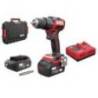 Masina de gaurit cu percutie SKIL 3075 HA , 0-500/0-1800/min, Brushless, geanta de transport+set de 6 biti, incarcator, 2xAccu