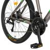 Bicicleta MTB-HT CARPAT Montana C2999A, 21 viteze, roti 29", Gri/Negru/Verde