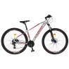 Bicicleta MTB-HT CARPAT C2979H, roti 29", Gri/Rosu