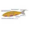 Vobler BABYFACE BB180-MSS 18cm, 85g, 10 Perch